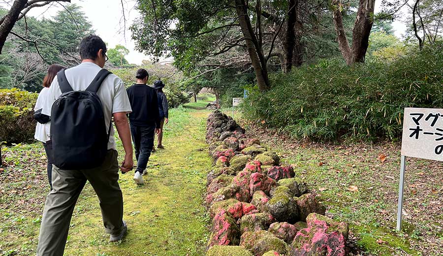 富良野自然塾東京校 プログラム4 46億年・地球の道 道の脇に並んだ石と、道に沿って歩く参加者の様子