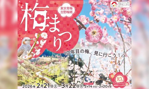 青梅梅郷梅まつりのイベント紹介記事サムネイル画像
